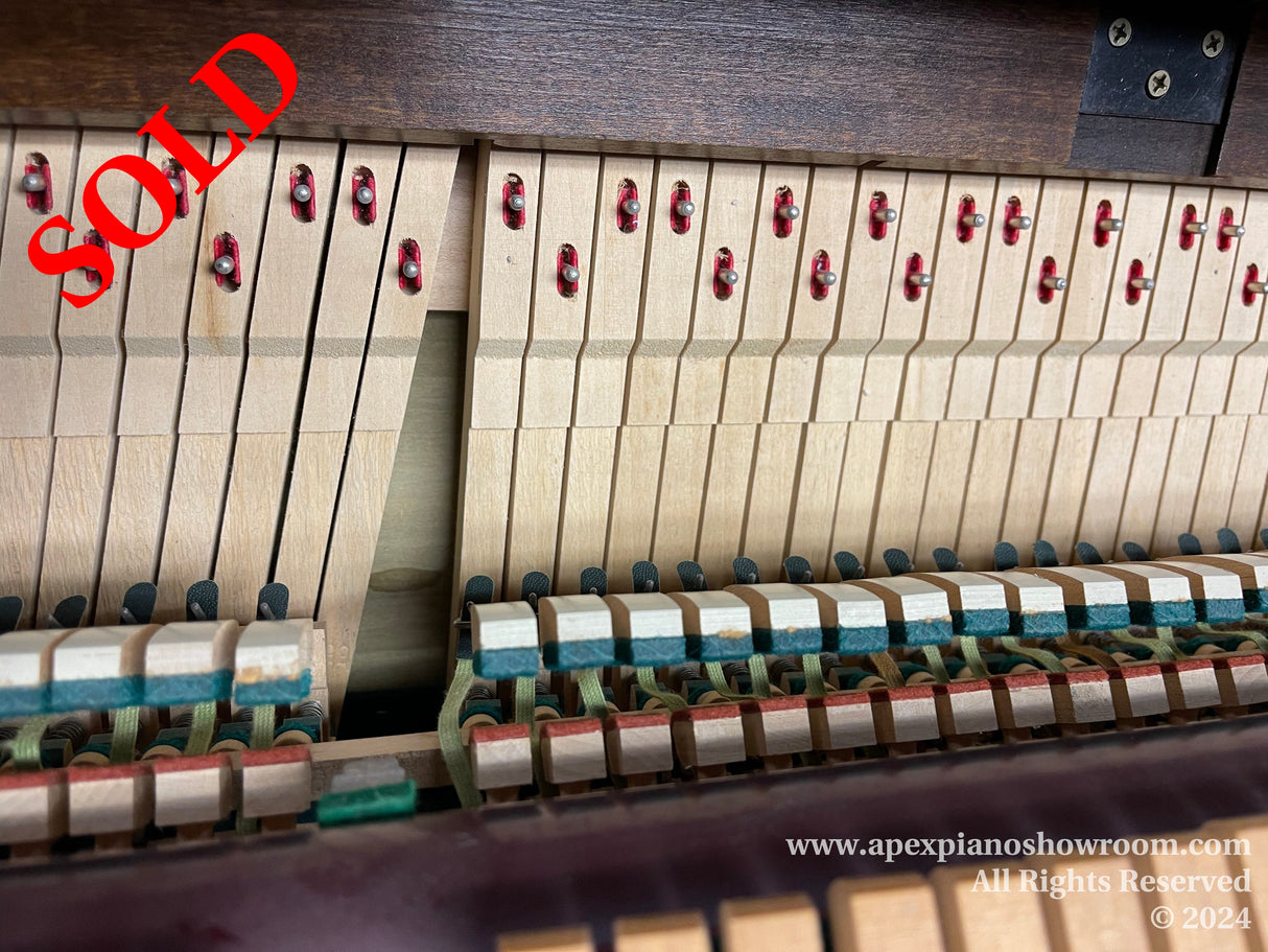 Internal mechanism of a piano showcasing hammers and dampers, indicating a close-up view of a piano's action, with visible felt hammers aligned in rows, wooden components, and metal strings in the background, representative of the intricate craftsmanship involved in piano construction and maintenance.