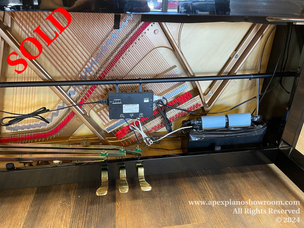 Interior view of a grand piano showing strings, hammers, and dampers, with a focus on the piano's soundboard and the mechanical parts involved in producing the instrument's sound.