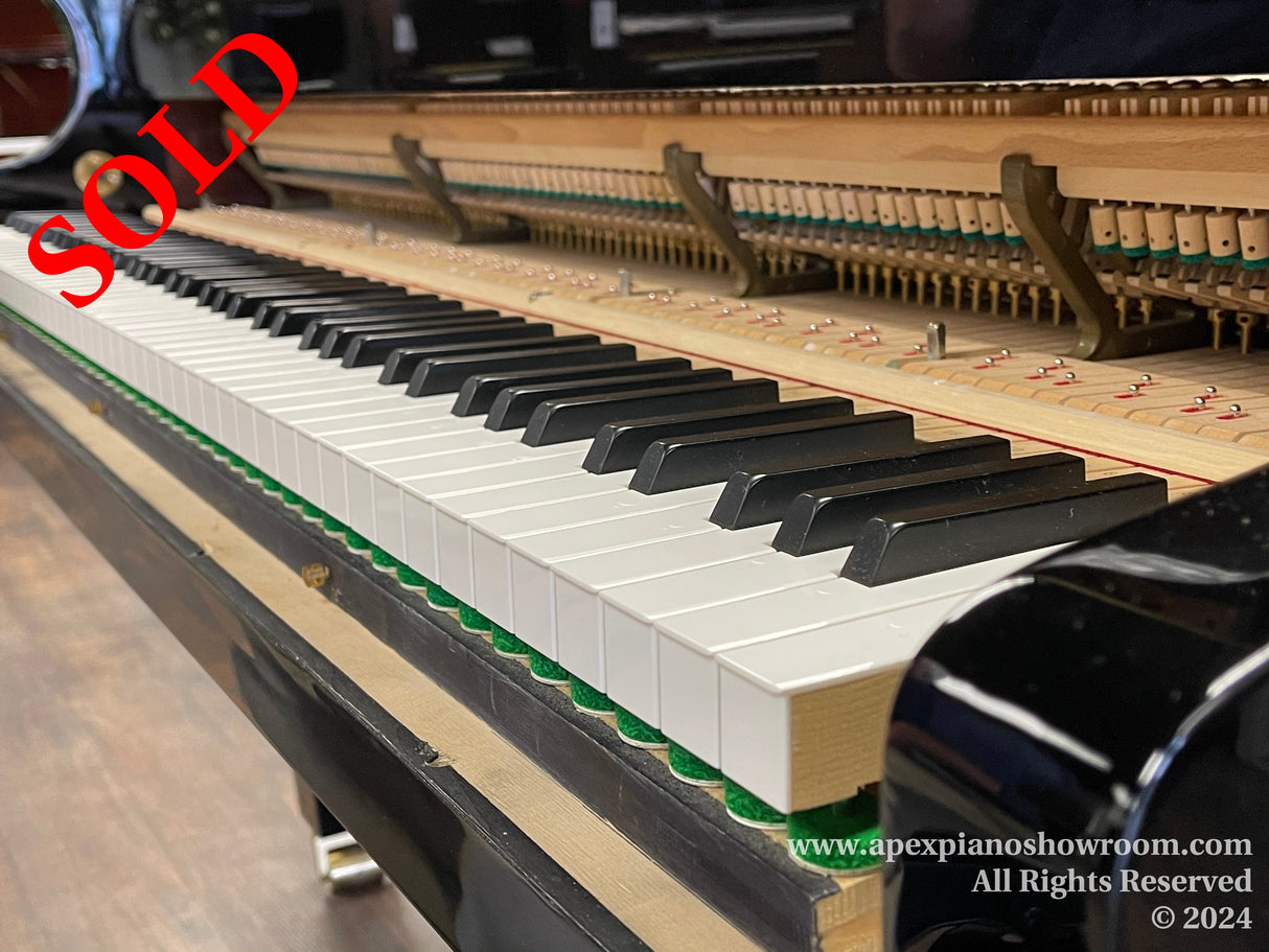 Close-up view of a grand piano's keyboard with the action removed, exposing the hammers and dampers in the background, with a focus on the immaculate white and black keys — part of the piano's sleek, black polished body is visible on the right side.