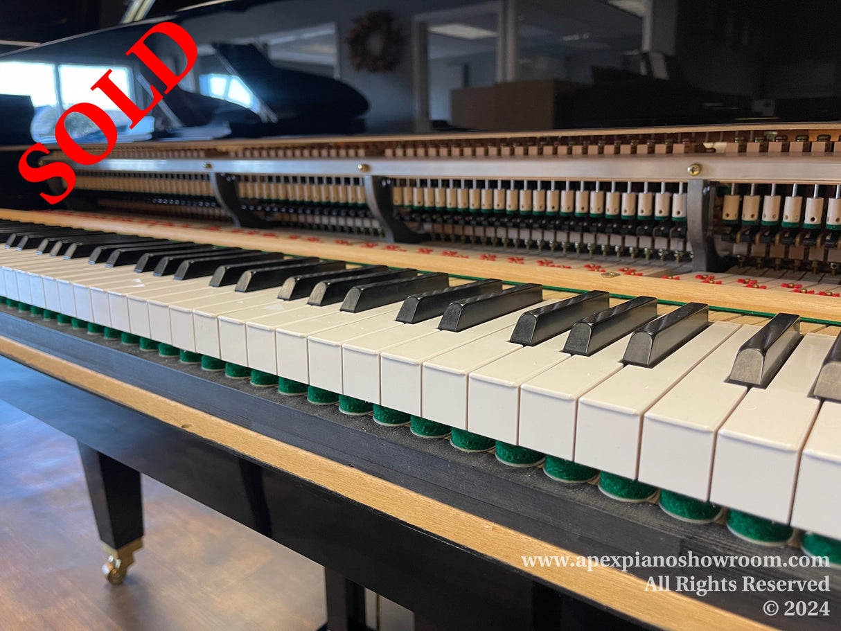 Close-up view of a grand piano keyboard with the action mechanism exposed, showcasing white keys, black sharps, and felt hammers inside, typical in piano construction and maintenance.