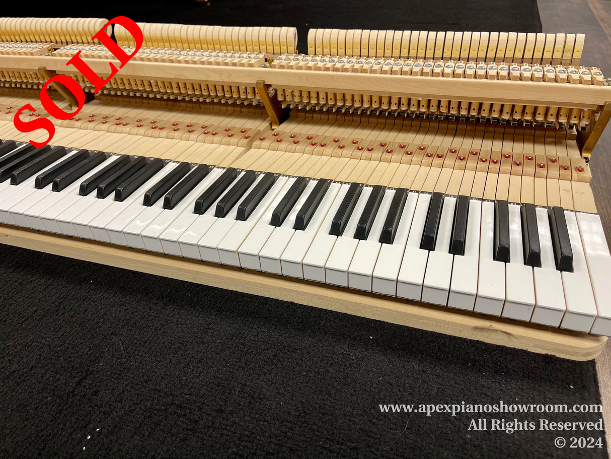 Close-up view of a grand piano action on display, with hammers and dampers visible above the keyboard, set against a black carpeted floor.