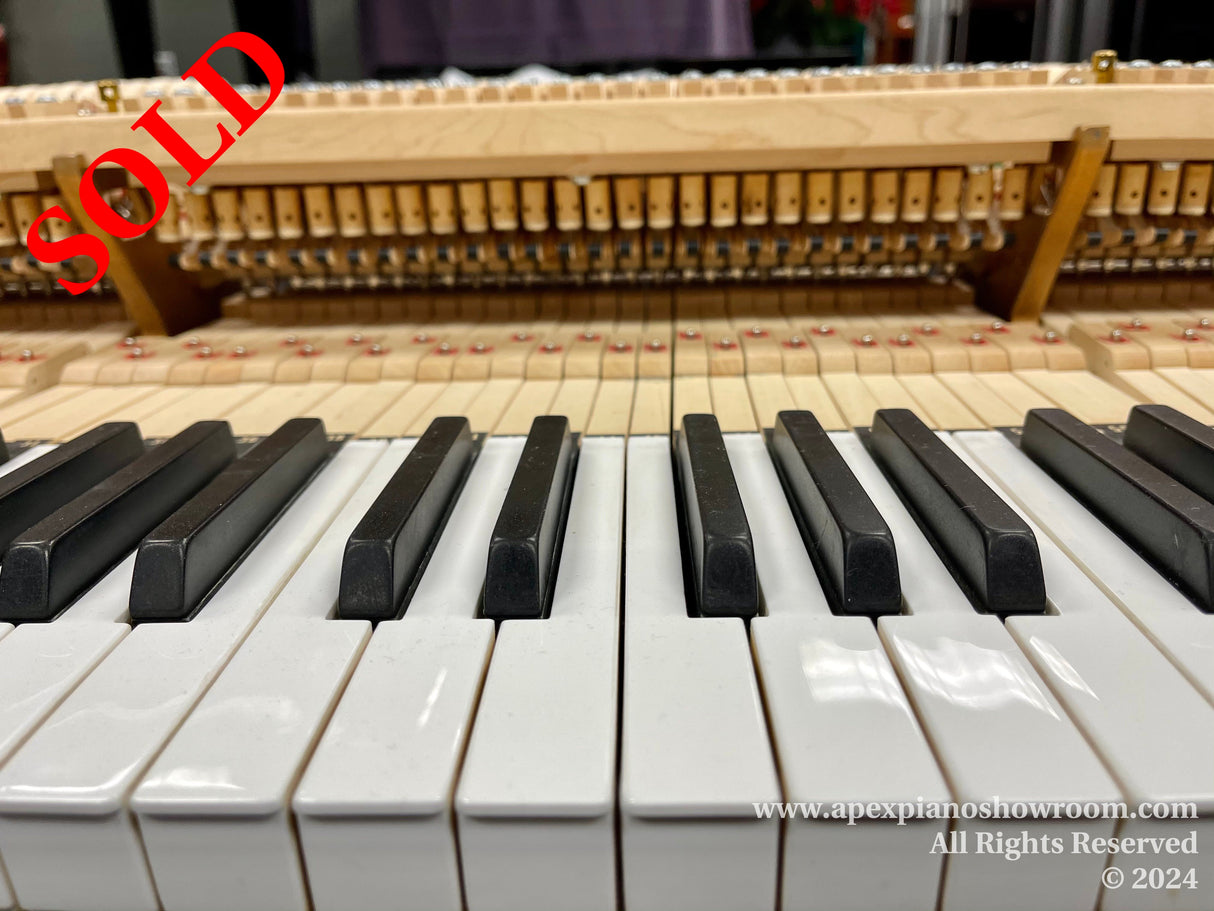 Close-up view of a piano keyboard with black and white keys in focus, internal piano action components visible in the background, showcasing the intricate details of a pianos mechanism.