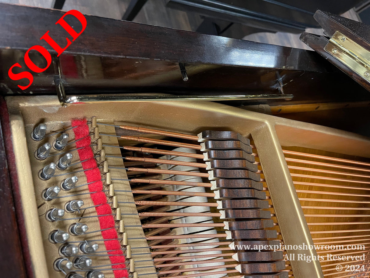 Interior view of a grand piano showing strings, tuning pegs, and the soundboard with a felt strip running across the tuning pegs, reflecting the intricate craftsmanship of a pianos inner workings.