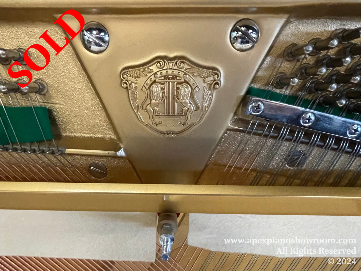 Close-up view of a grand pianos gold painted frame and soundboard, showcasing the intricate harp design and string arrangement, with a focus on the pianos duplex scale.