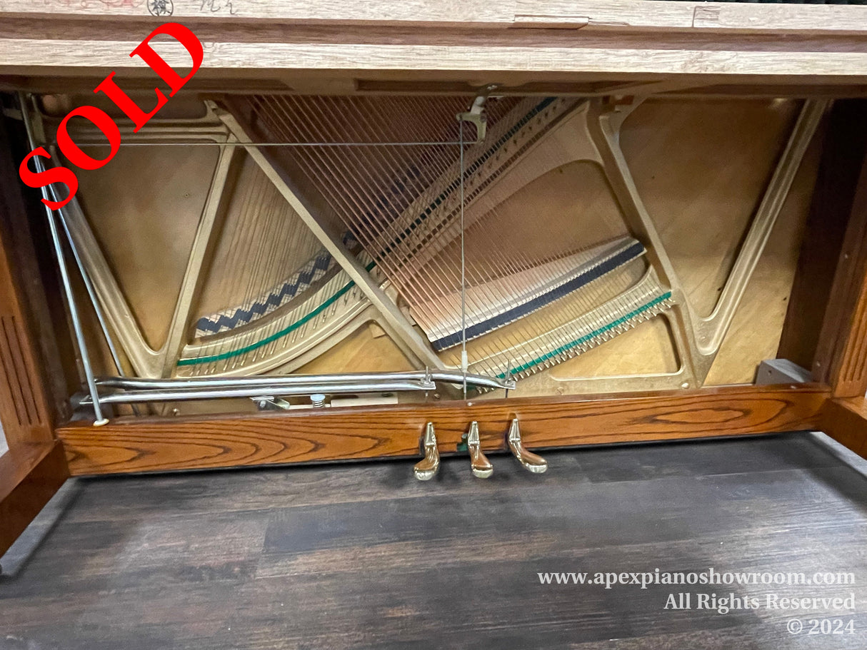 Interior view of an upright piano showcasing its strings and soundboard, with pedal mechanisms visible at the bottom.