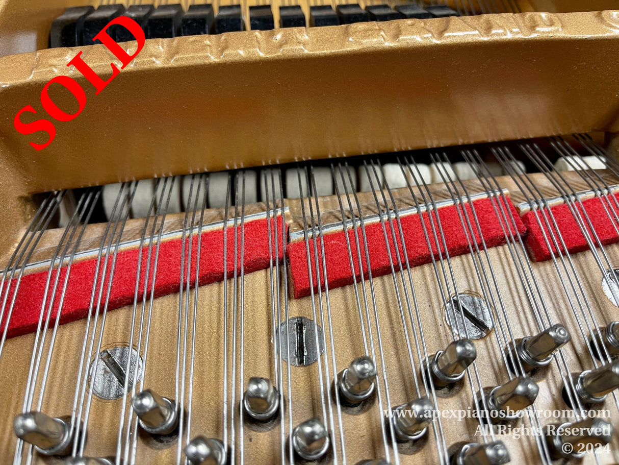 Close-up view of gold-painted piano plate with strings and tuning pins, showing red felt dampers and intricate internal mechanism of a grand piano.
