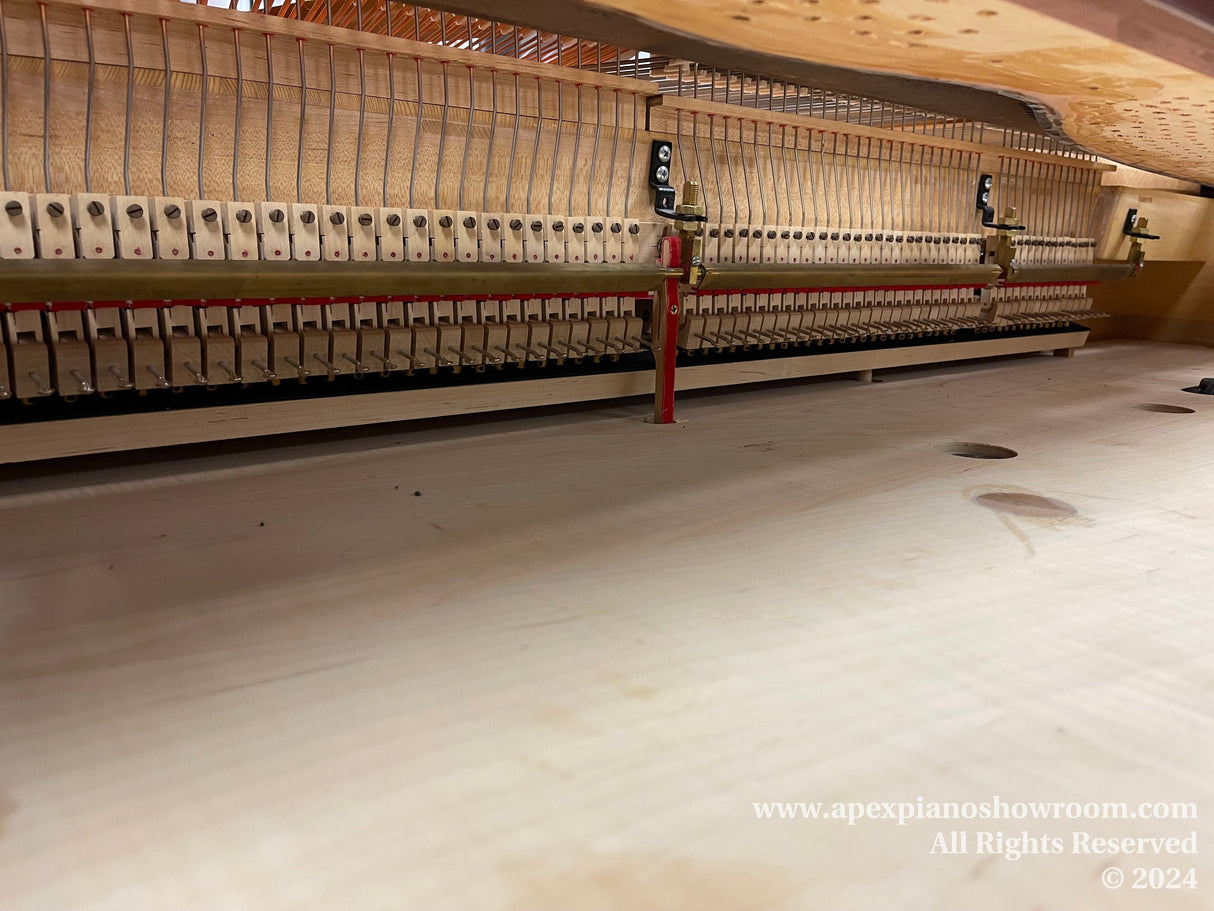 Interior view of a grand piano showcasing the array of hammers and strings, with a focus on the intricate mechanisms responsible for producing the instruments sound.