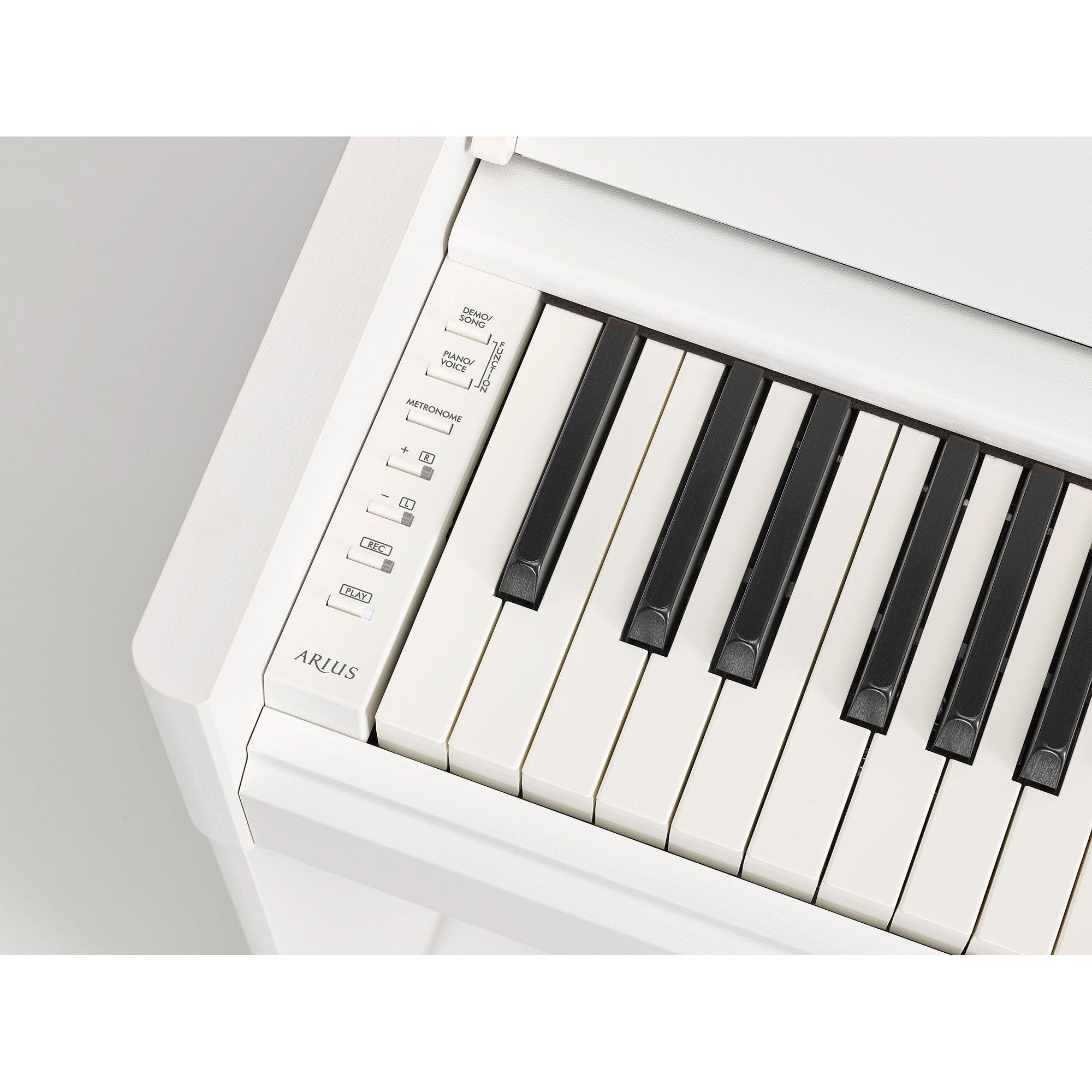 Yamaha Arius YDP S55 (Digital Piano) – Apex Piano Showroom