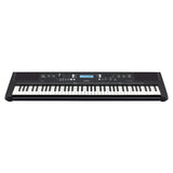 psr ew310 price