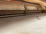 Interior view of a grand piano showcasing the array of hammers and strings, with a focus on the intricate mechanisms responsible for producing the instruments sound.