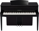 yamaha n2 price