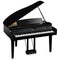 Digital Pianos